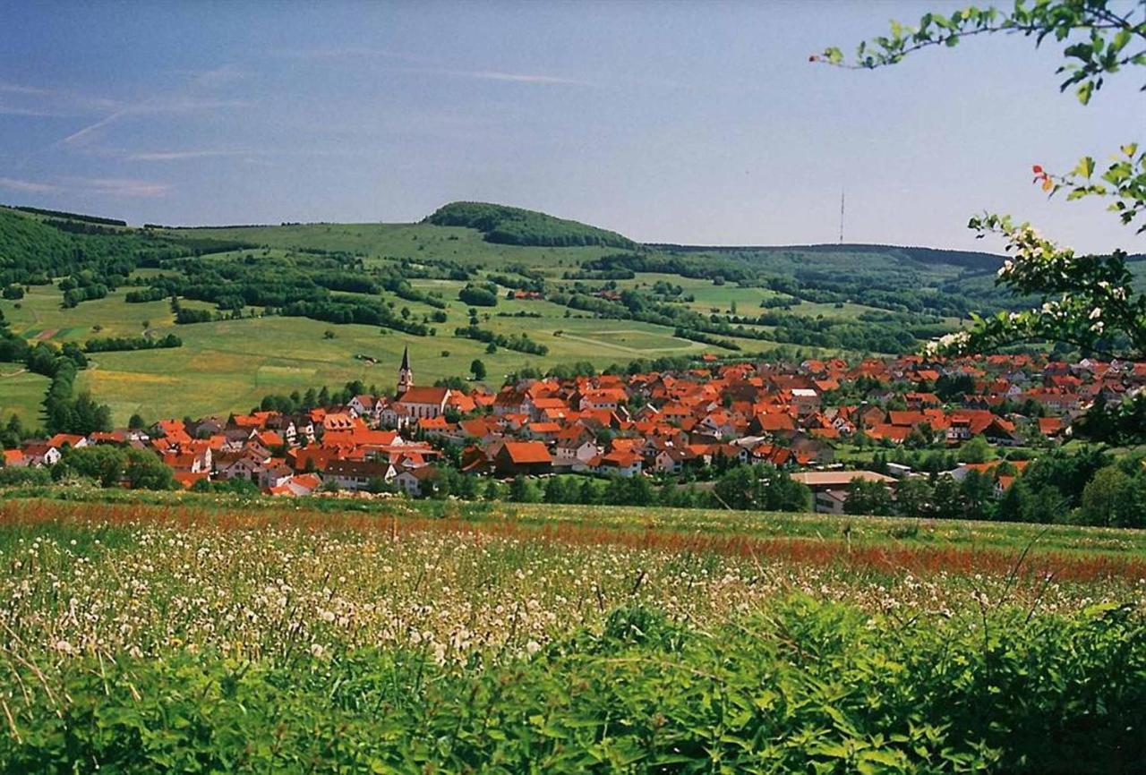 Rhöner Landhotel Haus zur Wasserkuppe Ehrenberg  Exterior foto